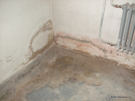 DSCF5350.JPG