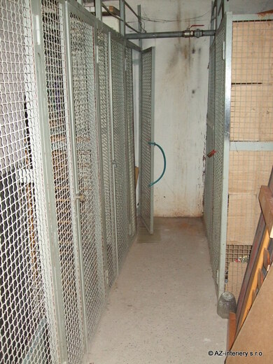 DSCF5387.JPG