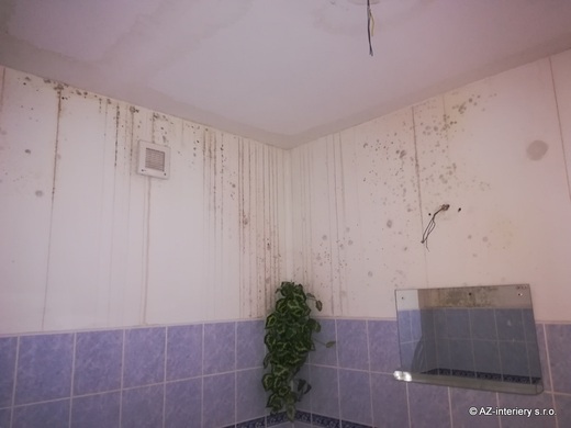 Rekonstrukce RD po požáru (16).jpg
